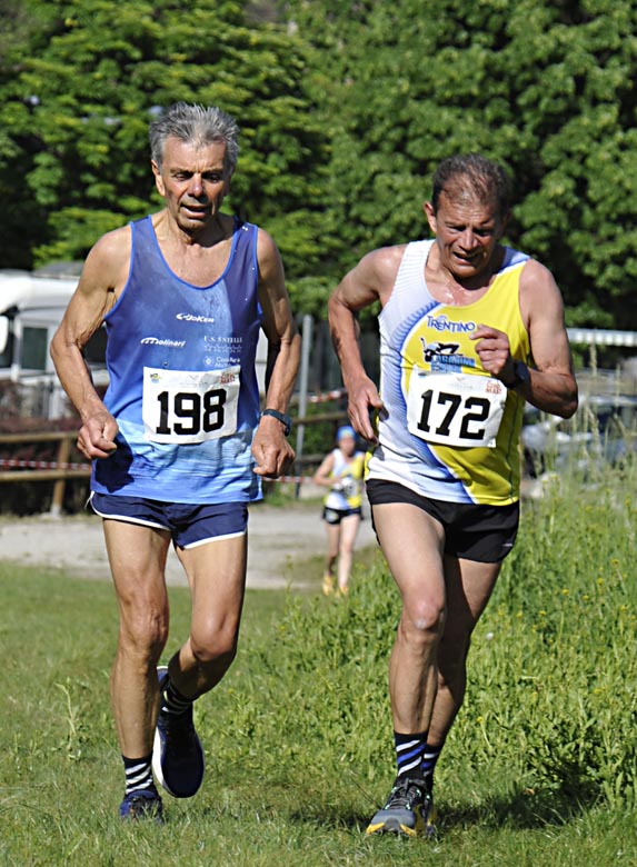 14-lino-mauro