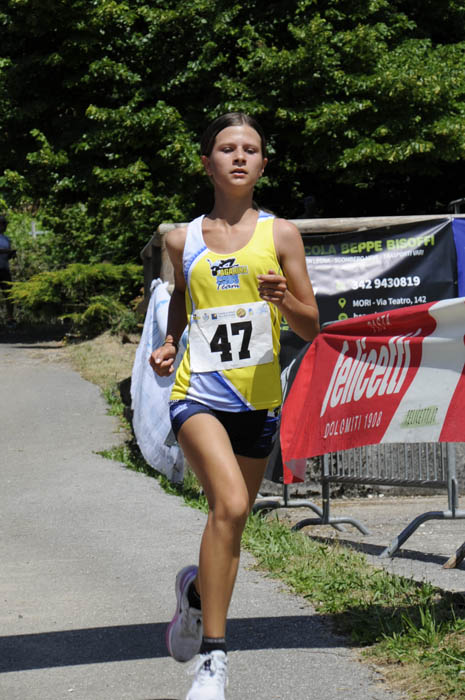 28-nicol-mattassoni